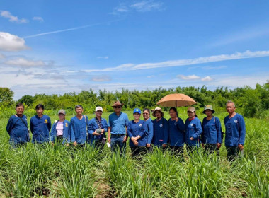 สหกรณ์การเกษตรบ้านเขว้า จำกัด ... พารามิเตอร์รูปภาพ 14