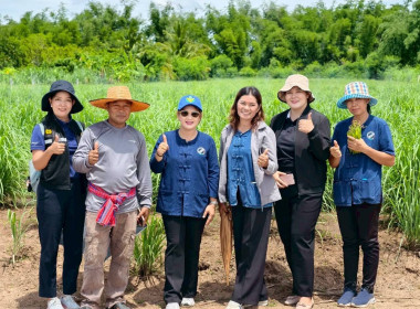 สหกรณ์การเกษตรบ้านเขว้า จำกัด ... พารามิเตอร์รูปภาพ 15
