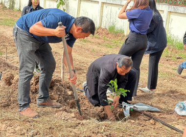 โครงการปลูกต้นไม้เพิ่มพื้นที่สีเขียวเพื่อสืบสานพระราชปณิธานน้อมรำลึกพระพันปีหลวง ... พารามิเตอร์รูปภาพ 6