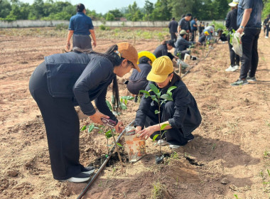 โครงการปลูกต้นไม้เพิ่มพื้นที่สีเขียวเพื่อสืบสานพระราชปณิธานน้อมรำลึกพระพันปีหลวง ... พารามิเตอร์รูปภาพ 8