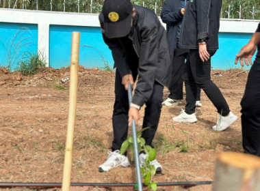 โครงการปลูกต้นไม้เพิ่มพื้นที่สีเขียวเพื่อสืบสานพระราชปณิธานน้อมรำลึกพระพันปีหลวง ... พารามิเตอร์รูปภาพ 17