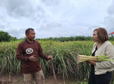 ลงพื้นที่ติดตามโครงการแก้ไขปัญหาหนี้สินและพัฒนาคุณภาพชีวิตสมาชิกสหกรณ์ด้วยระบบสหกรณ์ ... พารามิเตอร์รูปภาพ 1