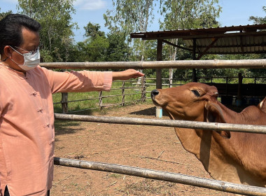 สหกรณ์จังหวัดชัยภูมิลงพื้นที่สหกรณ์การเกษตรคอนสาร จำกัด พารามิเตอร์รูปภาพ 4