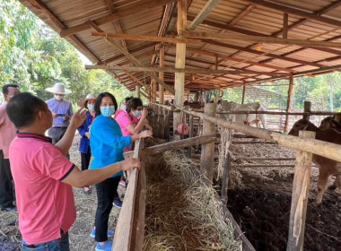 สหกรณ์จังหวัดชัยภูมิลงพื้นที่สหกรณ์การเกษตรคอนสาร จำกัด พารามิเตอร์รูปภาพ 2